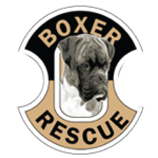 (c) Boxer-rescue-la.com