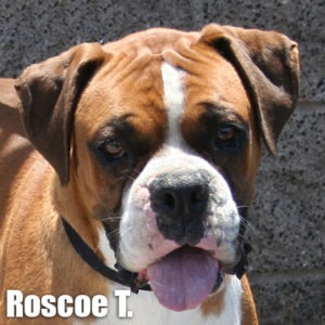 Roscoe T