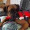waylon